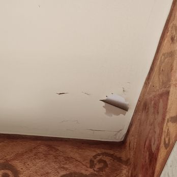 Paradise Stream - Ceiling falling apart - Ski Resorts Near Me - Cresco, Pennsylvania Paradise Stream - Ceiling falling apart - Ski Resorts Near Me - Cresco, Pennsylvania