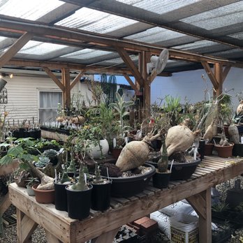 Desert Creations Nursery - Gift Shops Near Me - Northridge, California Desert Creations Nursery - Gift Shops Near Me - Northridge, California
