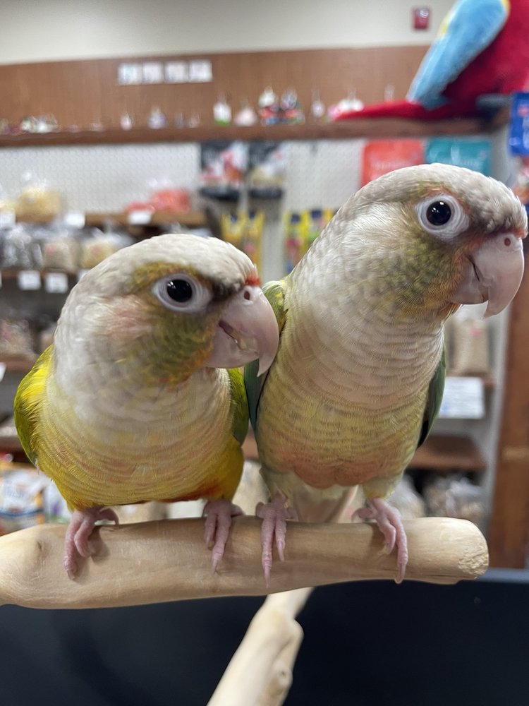 PET PARADISE Updated July 2024 35535 Euclid Ave, Willoughby, Ohio