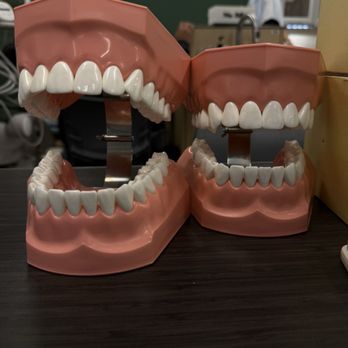 Cajon High School - Dental - Middle Schools & High Schools Near Me - San Bernardino, California Cajon High School - Dental - Middle Schools & High Schools Near Me - San Bernardino, California
