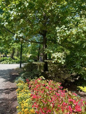 Halifax Public Gardens by null