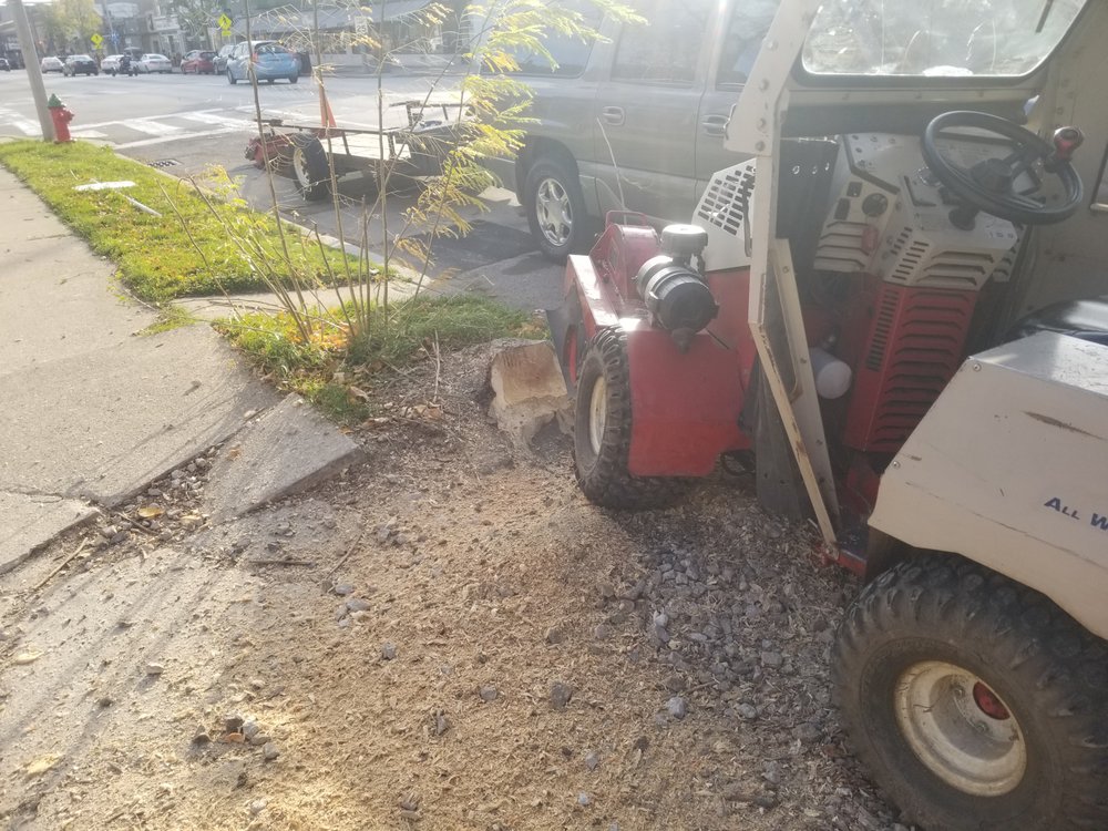 Slide of BFH Services