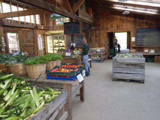 Brookfield Farm by null