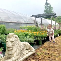 Stonington Gardens
