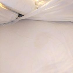 Holiday Inn Express & Suites Williamsburg - Stain in bed at arrival