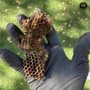 Photo of North Coast Pest Relief