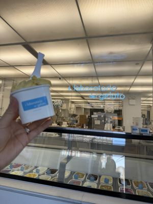il laboratorio del gelato by null