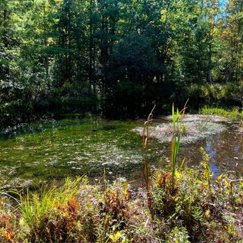 Bradford Putnam Wetlands - Hiking Near Me - Bennington, Vermont