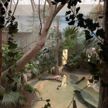 Brookfield Zoo Chicago - Zoos Near Me - Brookfield, Illinois Brookfield Zoo Chicago - Zoos Near Me - Brookfield, Illinois