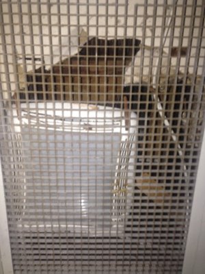 Cooper Real Estate Management 55 Halsey St Newark Nj Real Estate Agents Mapquest