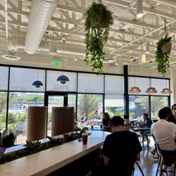 Mothership Coffee Roasters - Inside