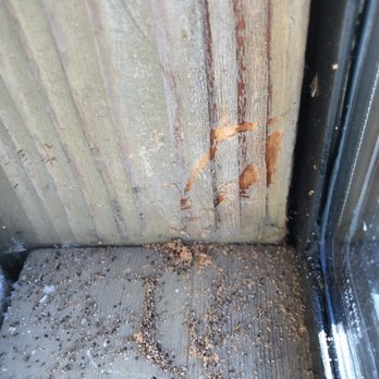 Hall Bros Termite Control - Signs of termites and carpet beetles. - Pest Control Near Me