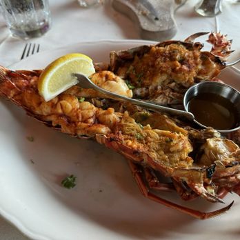 Ocean Grill - Florida Stuffed Lobster Special - Seafood Near Me - Vero Beach, Florida Ocean Grill - Florida Stuffed Lobster Special - Seafood Near Me - Vero Beach, Florida