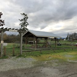 Mooberry Vineyard & Little Qualicum Cheese Works - Picnic area
