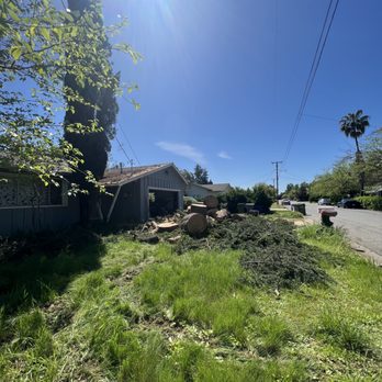 All Aspect Tree Service - Completed job 
No clean up removal - Tree Services Near Me