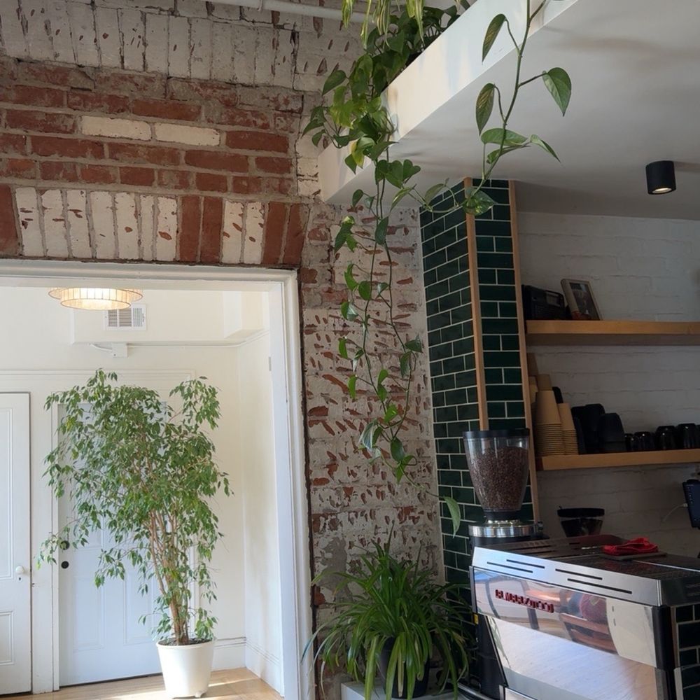 Milka Coffee Roasters - interior - Coffee Roasteries Near Me - Sacramento, California Milka Coffee Roasters - interior - Coffee Roasteries Near Me - Sacramento, California
