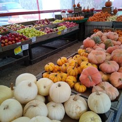 Mason Farms