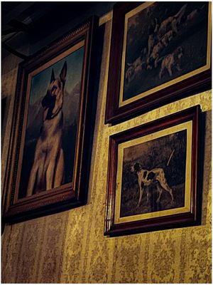 Union Hotel by null
