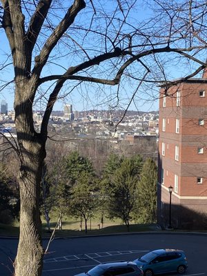 College of the Holy Cross by null