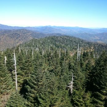 Clingmans Dome - Parks Near Me - Uninc Sevier, Tennessee