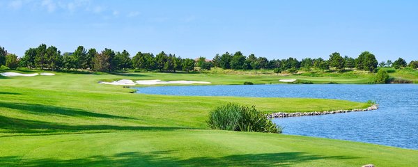 The Westin Dallas Stonebriar Golf Resort & Spa by null