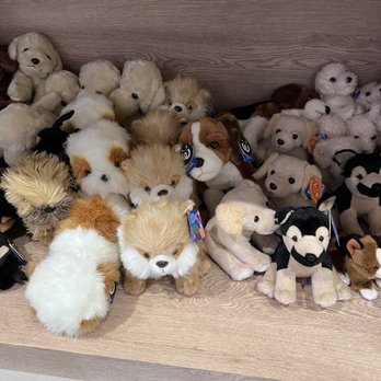 Pets4Life - Veterinarians Near Me - Highland Park, Illinois