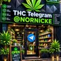 Photo of Werners Head Shop