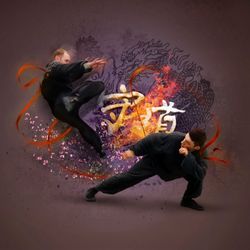 Yin-Yang Martial Arts