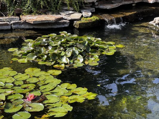 Botanica, The Wichita Gardens by null