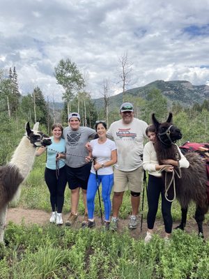 Paragon Guides by null