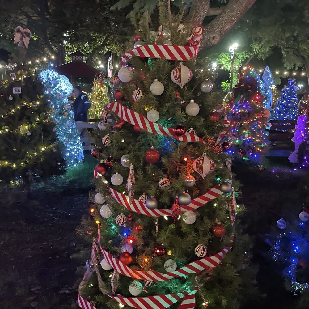 Christmas In The Park - Christmas in the Park tree - Festivals Near Me - San Jose, California