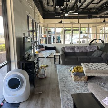 HUNTER’S KITTEN LOUNGE - Updated August 2025 - 70 Photos & 11 Reviews