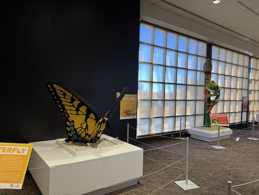 RMSC (Rochester Museum & Science Center) by null