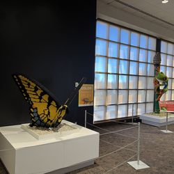 RMSC Museum & Science Center in Rochester gift card