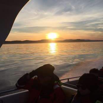 Eagle Wing Tours - Boat Charters Near Me - Victoria, British Columbia