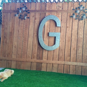 Modern Turf Designs - Abby loves her turf! - Landscaping Near Me Modern Turf Designs - Abby loves her turf! - Landscaping Near Me