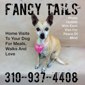 Fancy Tails - Dog Walkers Near Me - Hermosa Beach, California Fancy Tails - Dog Walkers Near Me - Hermosa Beach, California