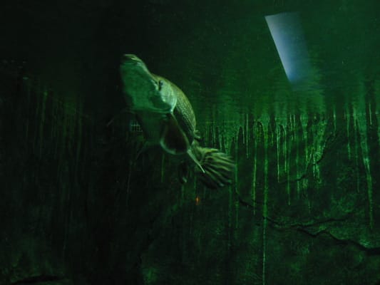 Underwater World Langkawi by null