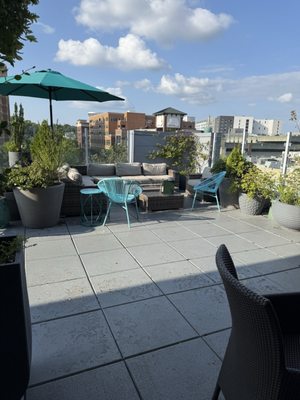 Botanical Lounge by null