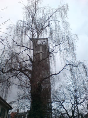 Herz-Jesu-Kirche by null