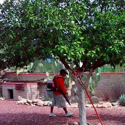 Az Grand Canyon Landscaping