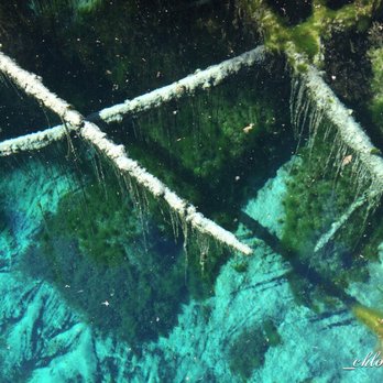 Kitch-iti-Kipi - Great photo of clear water - Lakes Near Me - Manistique, Michigan