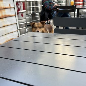 Cato's Ale House - His name is Hank - Burgers Near Me - Oakland, California