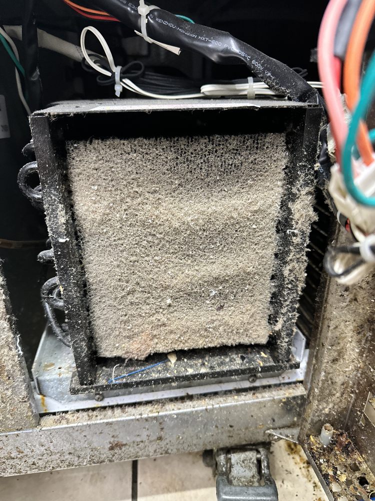 Slide of Mechanical Freedom