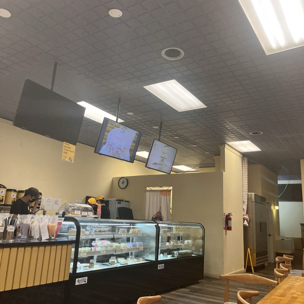 Timeless Tea - Bubble Tea Near Me - Bellevue, Washington