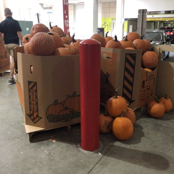 Trader Joe's - Pumpkins - Grocery Near Me - Charlotte, North Carolina Trader Joe's - Pumpkins - Grocery Near Me - Charlotte, North Carolina