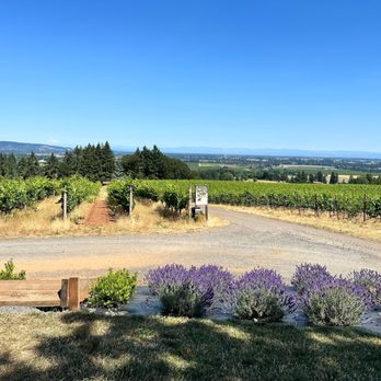 Durant Vineyards Tasting Room - Wineries Near Me - Dayton, Oregon