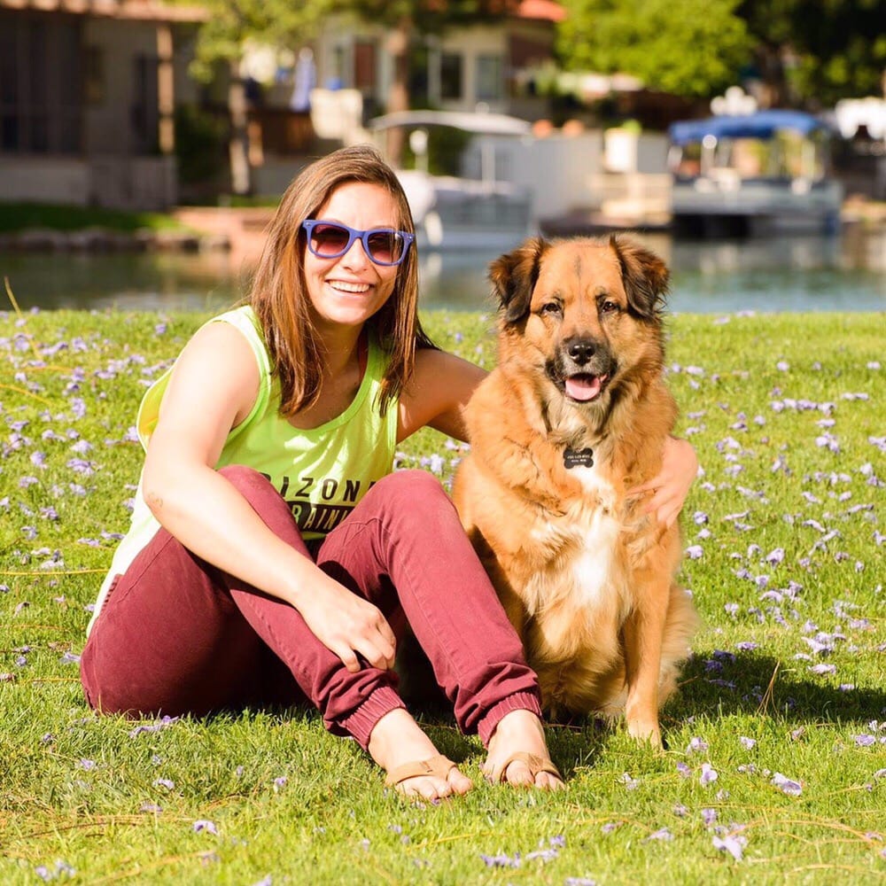 Arizona Dog Training - pet boarding facility in Scottsdale, AZ