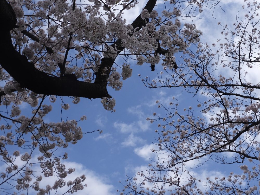 Kanagawa Kōen