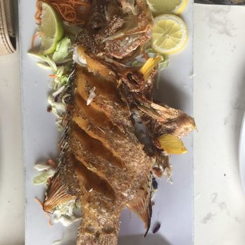 Casablanca - Seafood Near Me - Miami, Florida Casablanca - Seafood Near Me - Miami, Florida